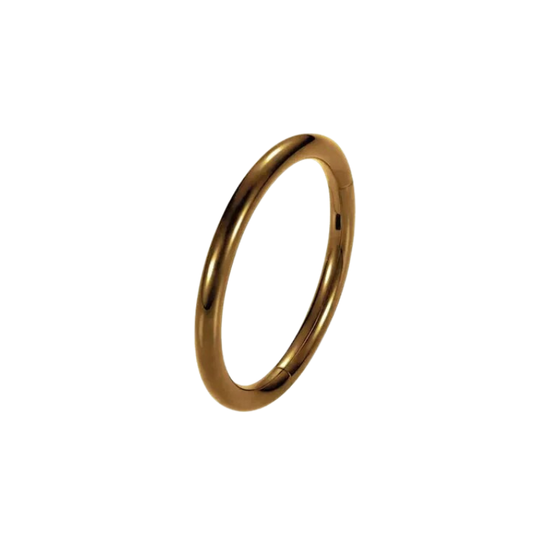 Titanium oorpiercing met klassieke ring, stijlvol in alle kleuren, hier in paars