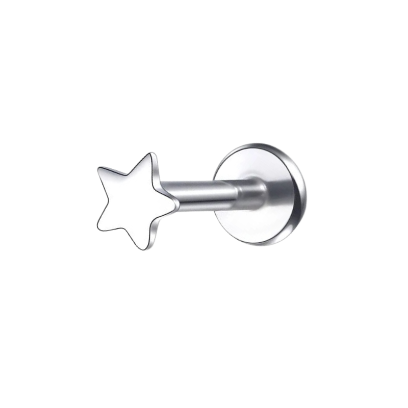 Titanium ster oorstekker, discrete maar opmerkelijke schittering.