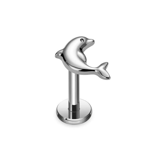 Zilveren oorpiercing met dolfijn.